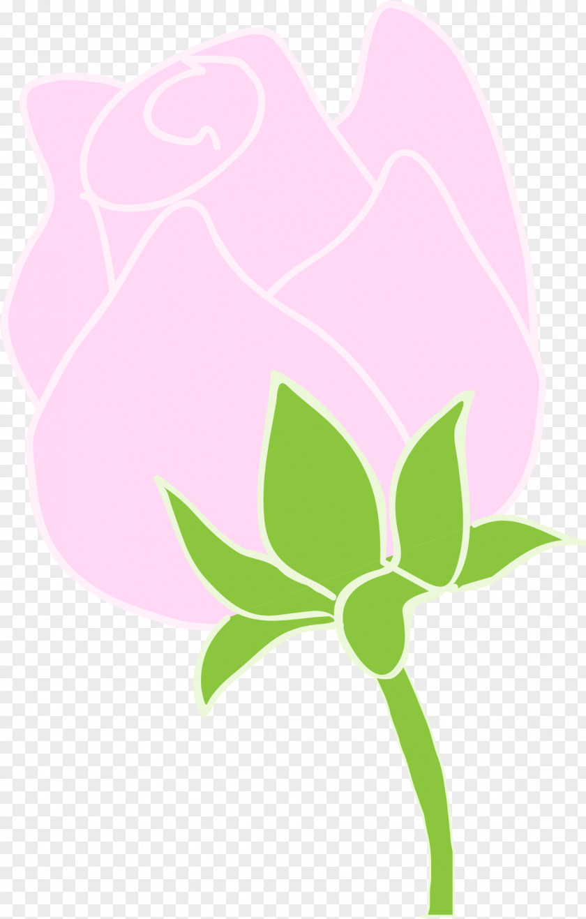Roses Rosaceae Floral Design Petal Clip Art PNG