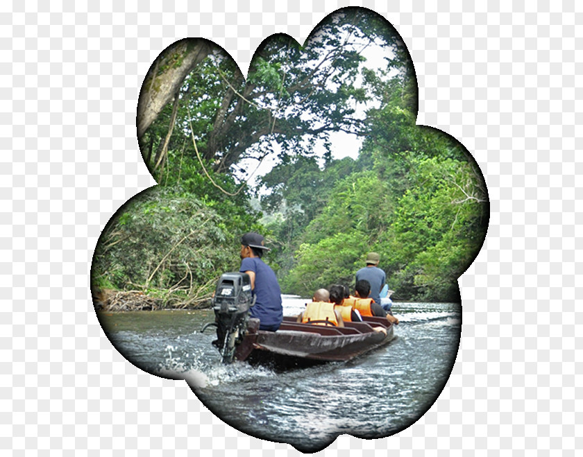 Tree Water Transportation Resources River PNG