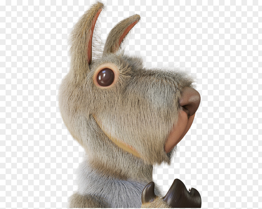 Creative Elements Domestic Rabbit Hare Fur Animation PNG