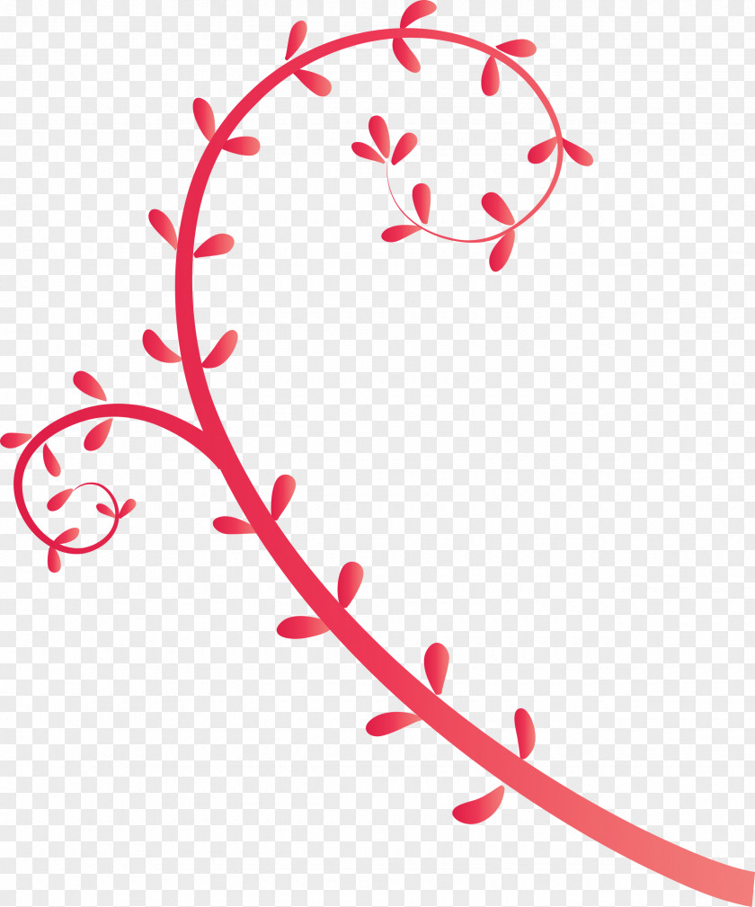 Flower Frame Floral PNG