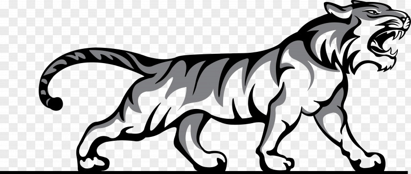 Tigers Tiger Logo Willard Middle School Sport Wildlife PNG
