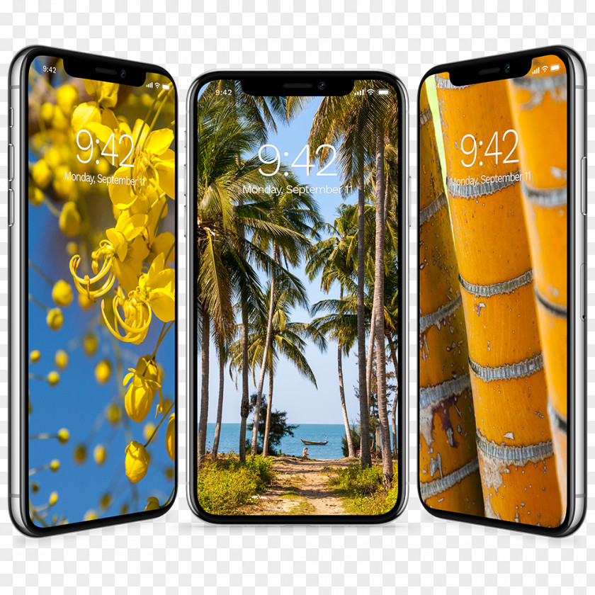 Tropical Wallpaper IPhone X 8 Desktop Text Messaging Mobile Phone Accessories PNG