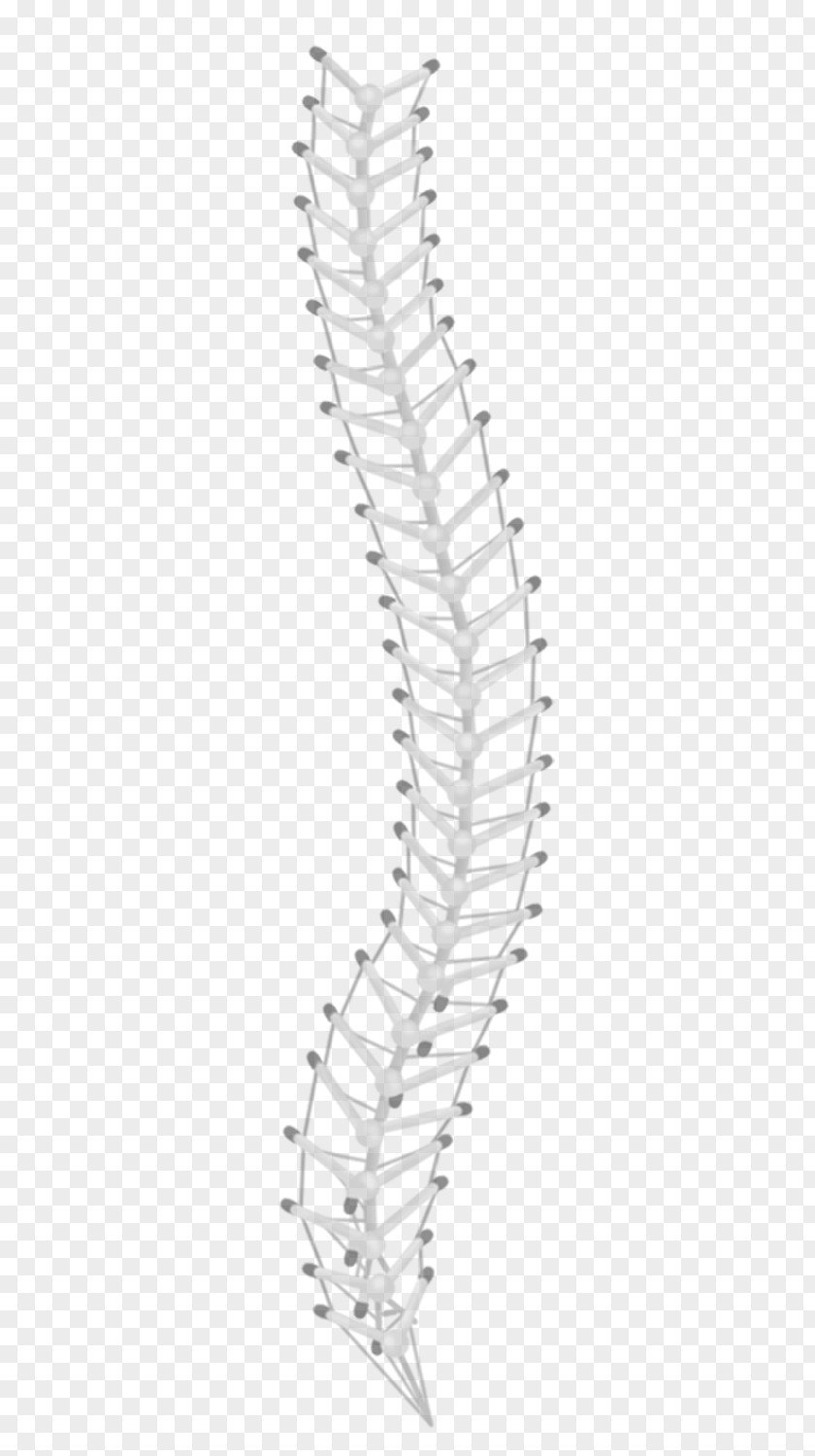 Acupuncture Picture Of Meridians Point Organism Line Art PNG