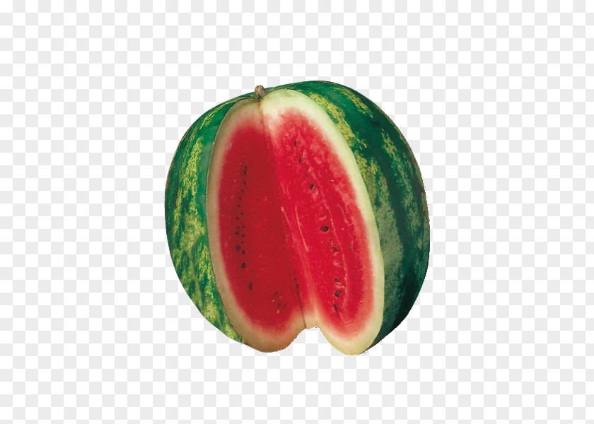 Citrullus Plant Watermelon Cartoon PNG