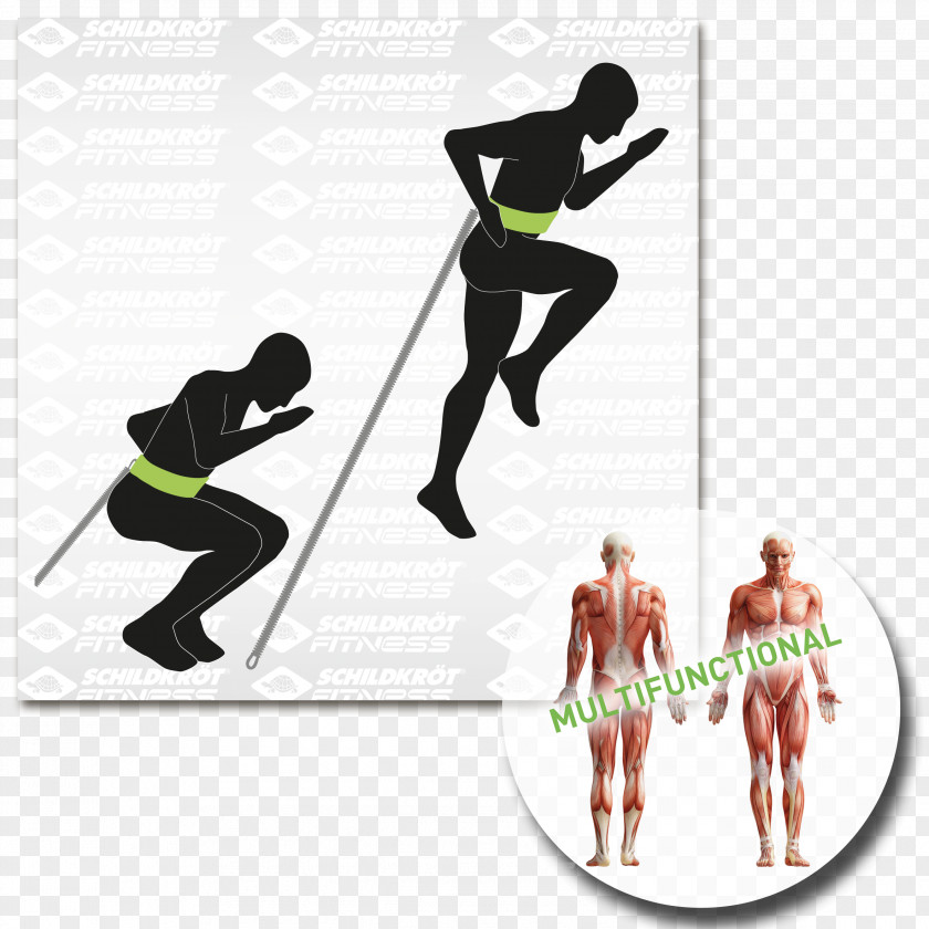 Fitness Trainer Cartoon Abdominal External Oblique Muscle Physical Exercise PNG