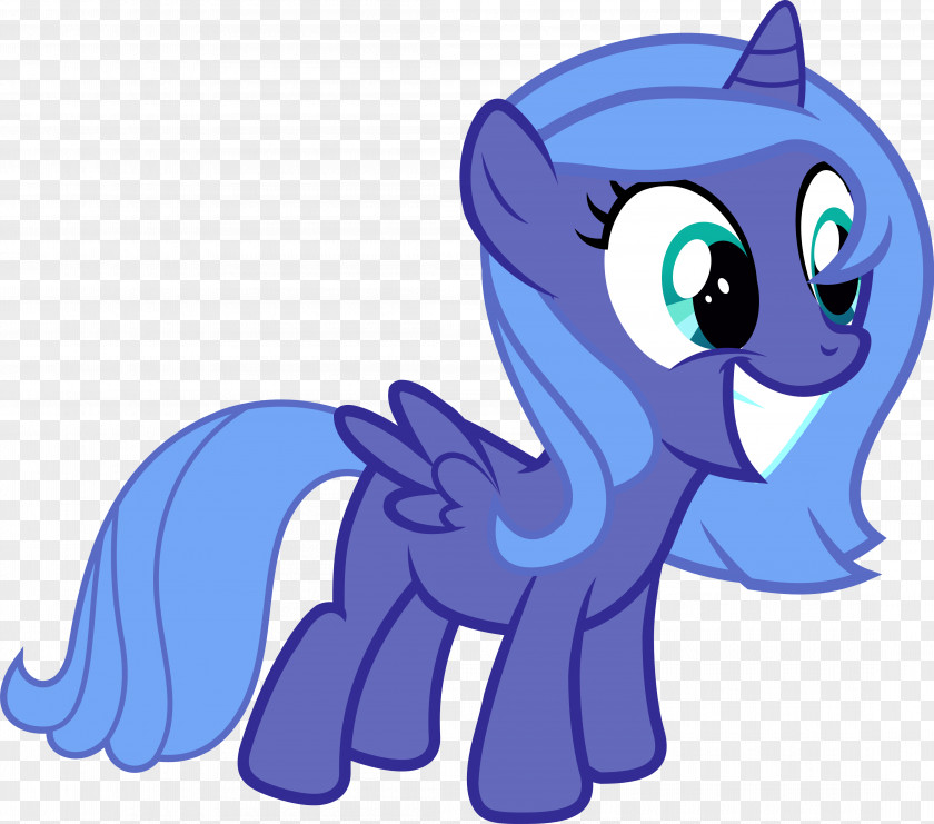 Libra Princess Luna Pony Celestia Rainbow Dash Rarity PNG