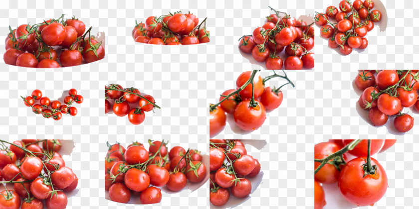 Mouth-watering Cherry Tomatoes Plum Tomato Bush PNG