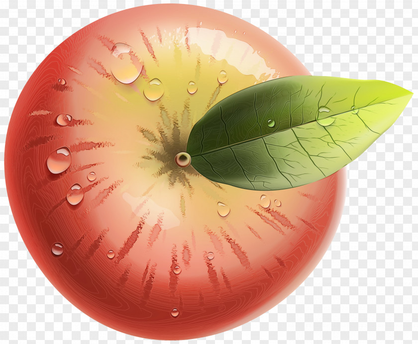 Plant Fruit Apple Leaf PNG