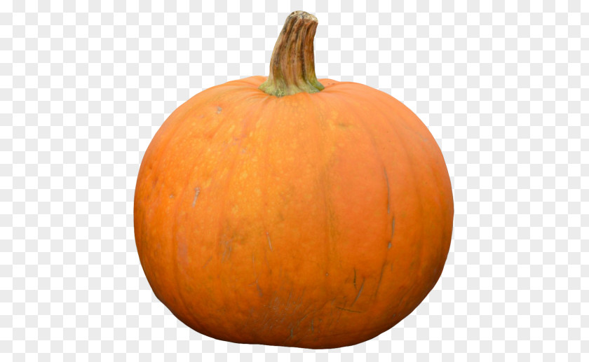 Pumpkin Jack-o'-lantern Gourd Calabaza Cucurbita PNG