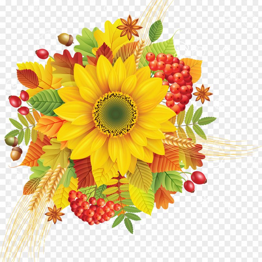 Sunflower Drawing Clip Art PNG