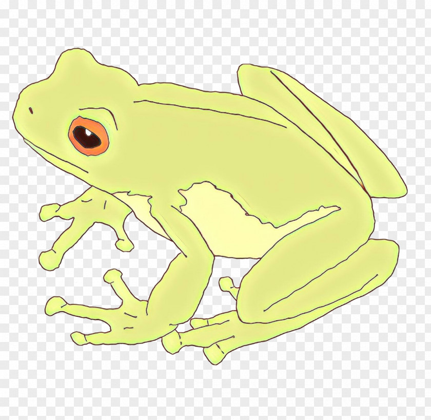 True Frog Toad Tree Clip Art PNG