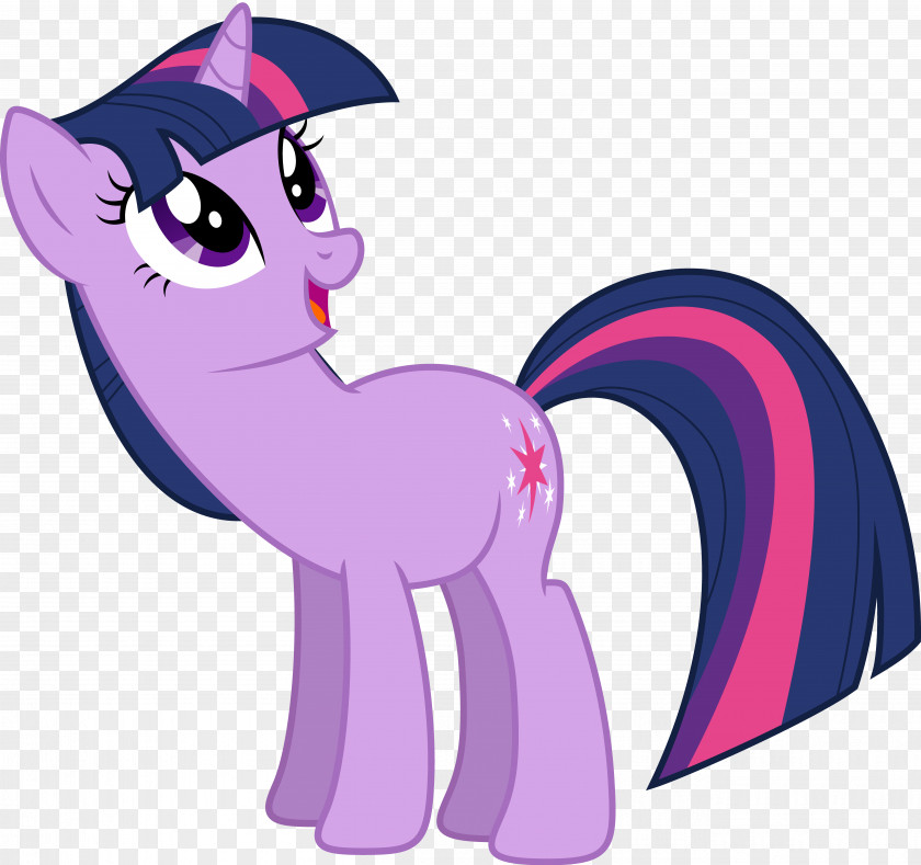 Twilight Sparkle Pony Pinkie Pie Rarity The Saga PNG