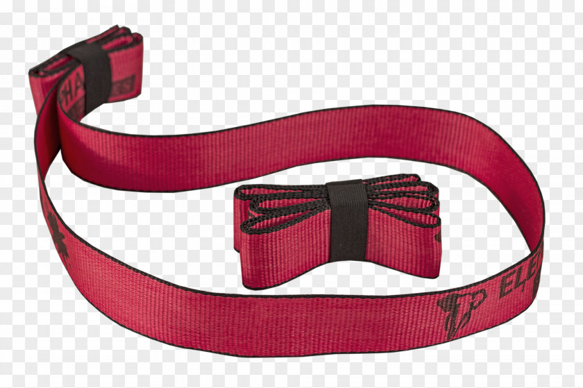 Belt Buckle Strap Dog Collar Slacklining PNG