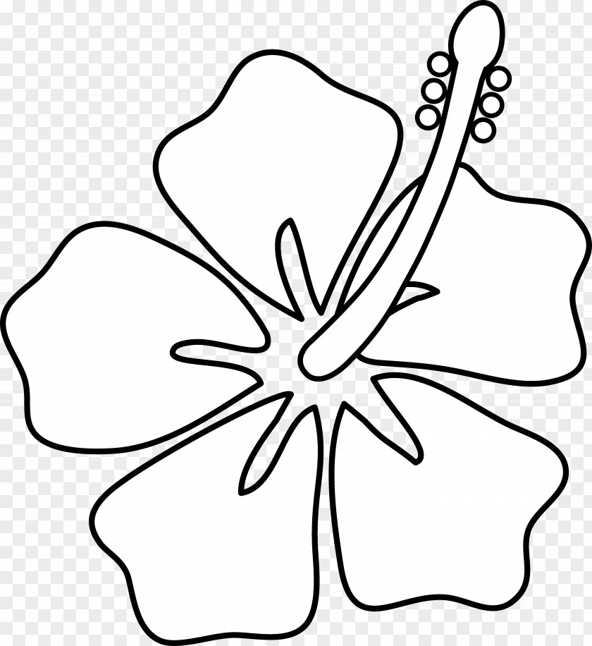 Cartoon Hibiscus Hawaii Drawing Flower Clip Art PNG
