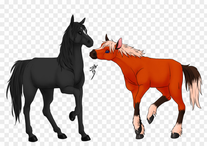Colossus Horse Mare Shadow Of The Epona Stallion PNG