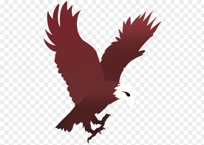 Eagle T-shirt Logo PNG