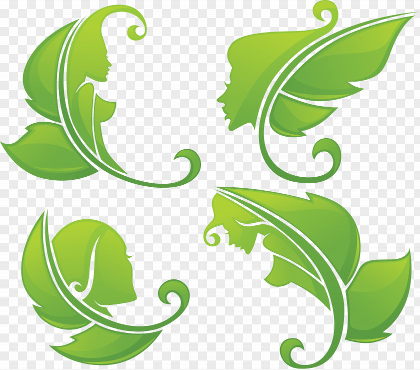 Green Leaves Beauty Parlour Clip Art PNG