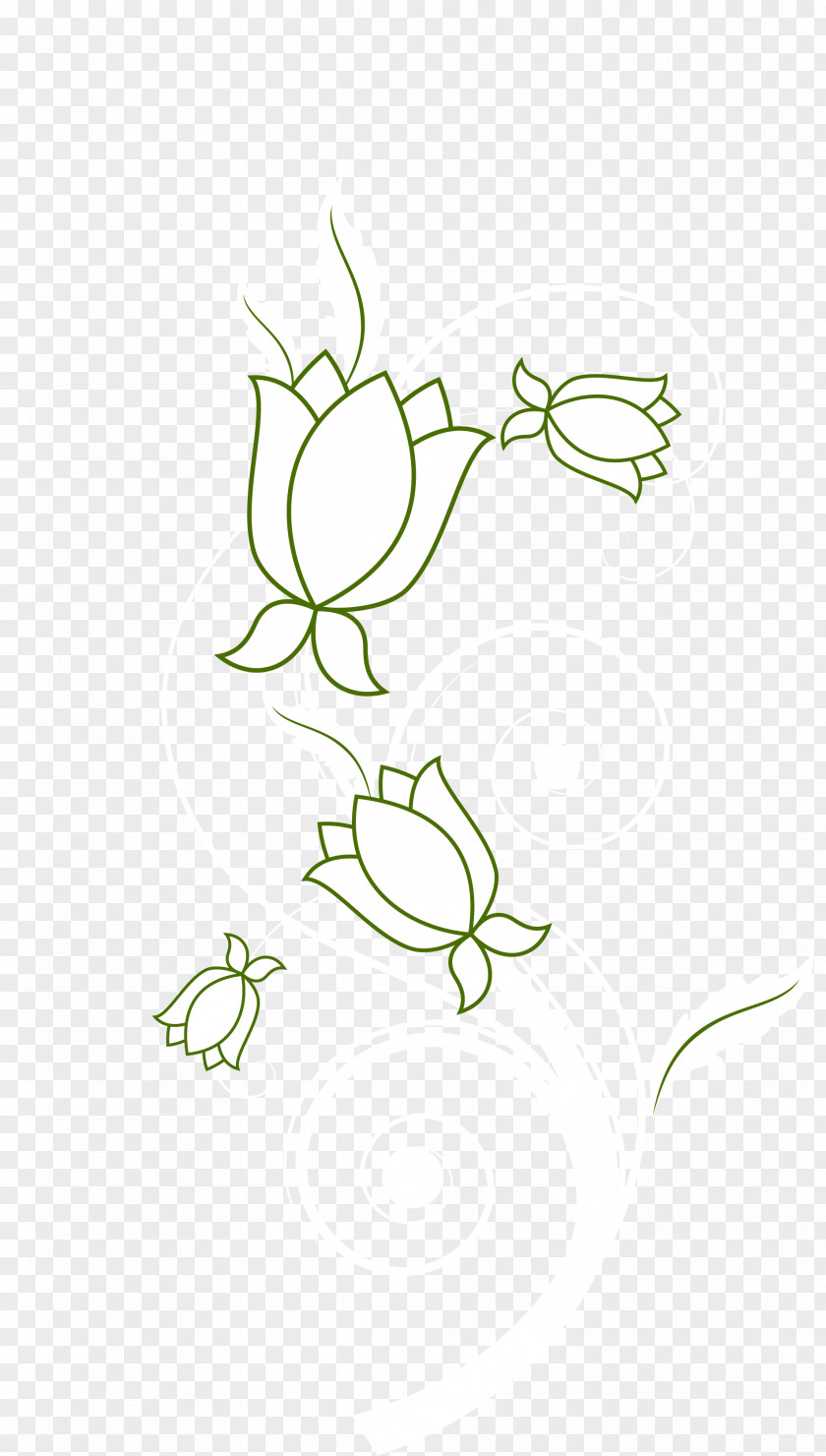 Hand Painted Green Flowers Floral Design Twig Drawing Line Art PNG