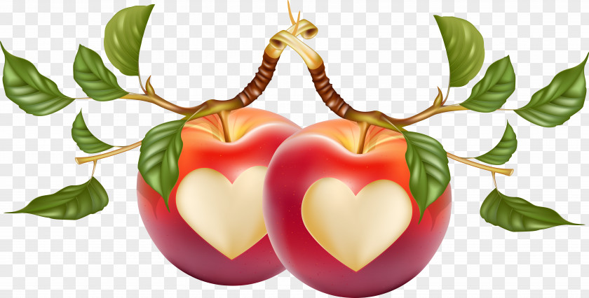 Heart-shaped Apple Vector PNG