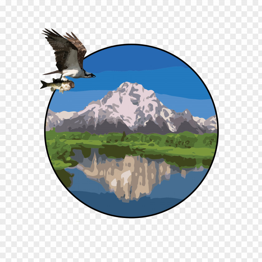 Bird Watching Service Mission Statement Water Resources PNG