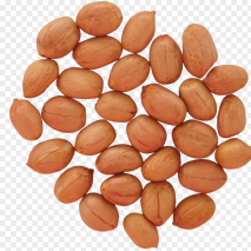 Deep-fried Peanuts Maylari Agro Products Ltd. Boiled PNG