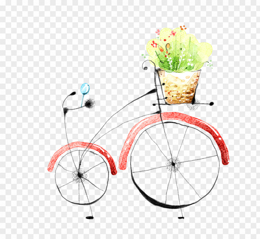 Fresh And Simple Romantic Lady Bike Bicycle Illustration PNG