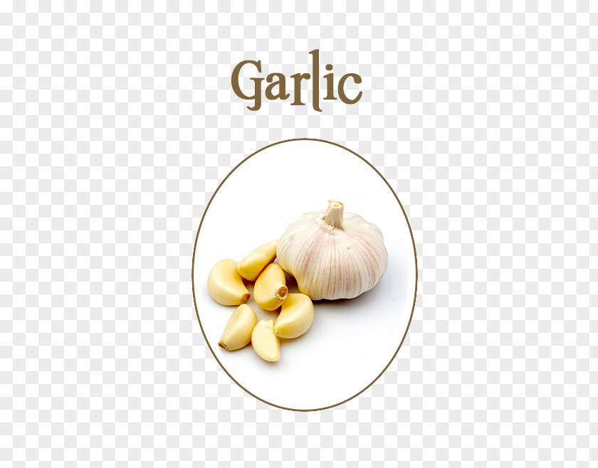 Fresh Garlic Presses Food Eating Allicin PNG