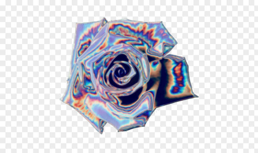 Holograph Rose Family Textile PNG