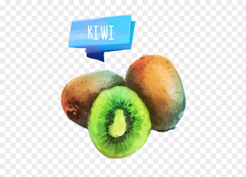 Kiwi Juice Fruit Watercolor Painting PNG
