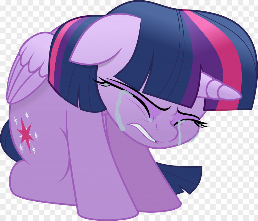 My Little Pony Twilight Sparkle Rarity Art PNG