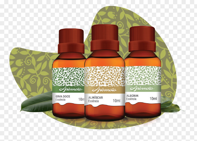 Oil Essential Eucalyptus Gum Trees Aromata PNG