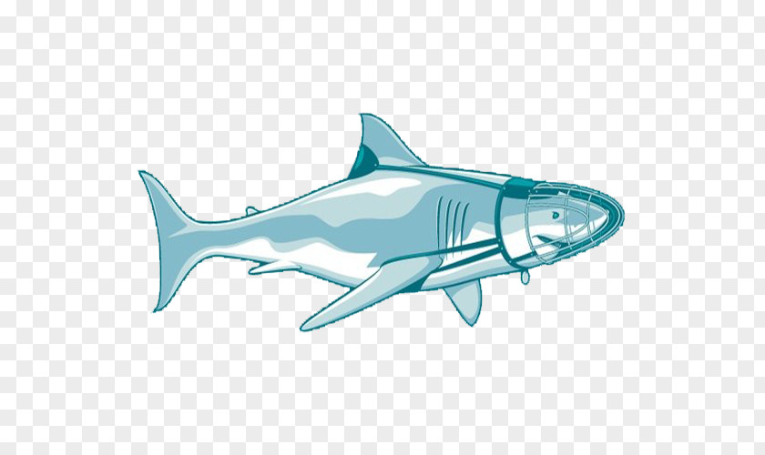 Simple Blue Shark Illustration Tiger PNG