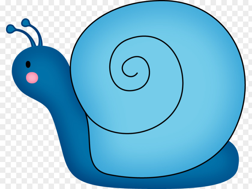 Snail Drawing Stylommatophora Clip Art PNG