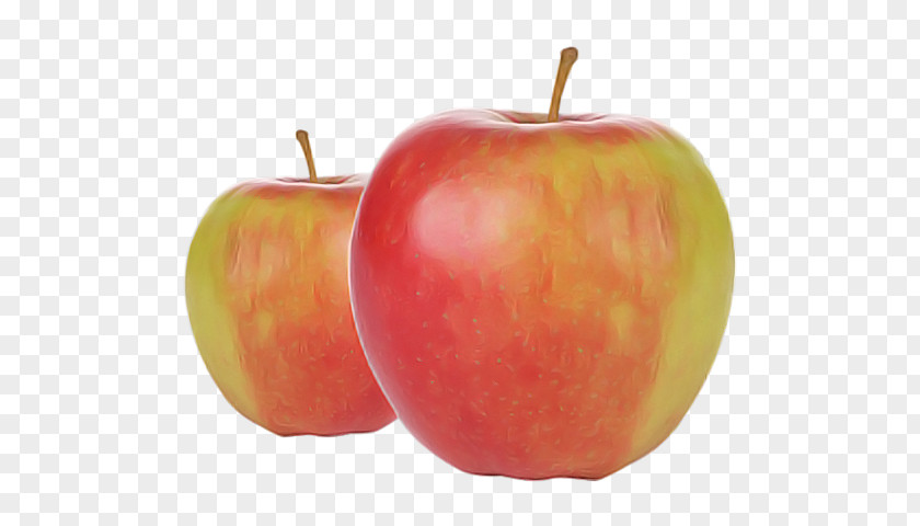 Mcintosh Red Elstar Golden Delicious Apple Jonagold PNG