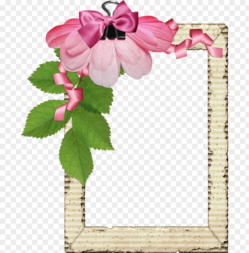Pink Flower Border Frame PNG