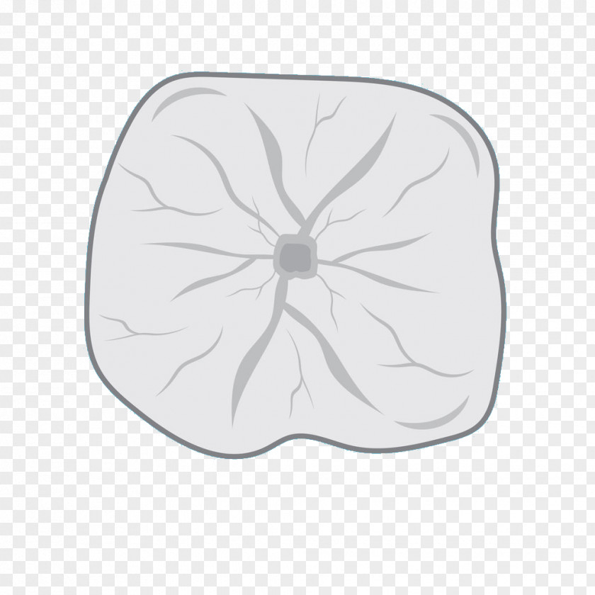 Decayed Tooth Petal Drawing White PNG