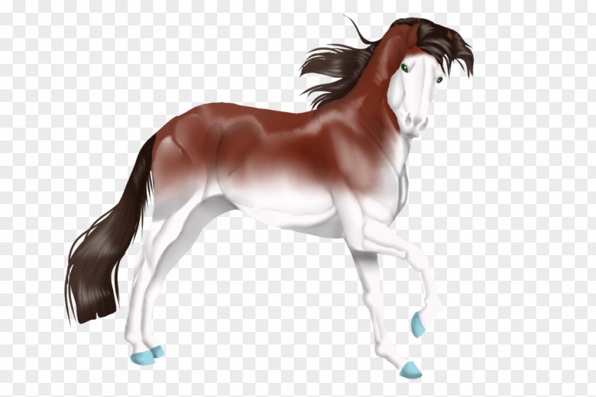 Mustang Mane Foal Stallion Colt PNG