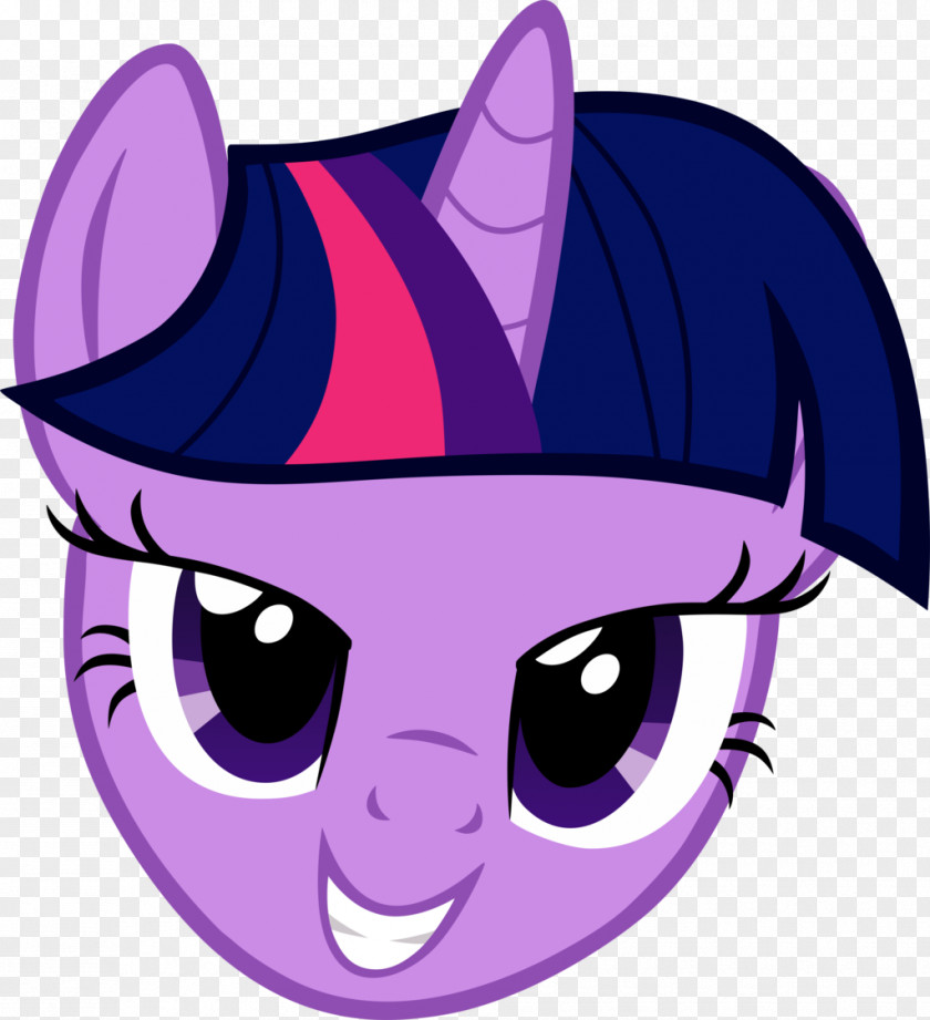 Twilight Sparkle Rainbow Dash Fluttershy Pony Sunset Shimmer PNG