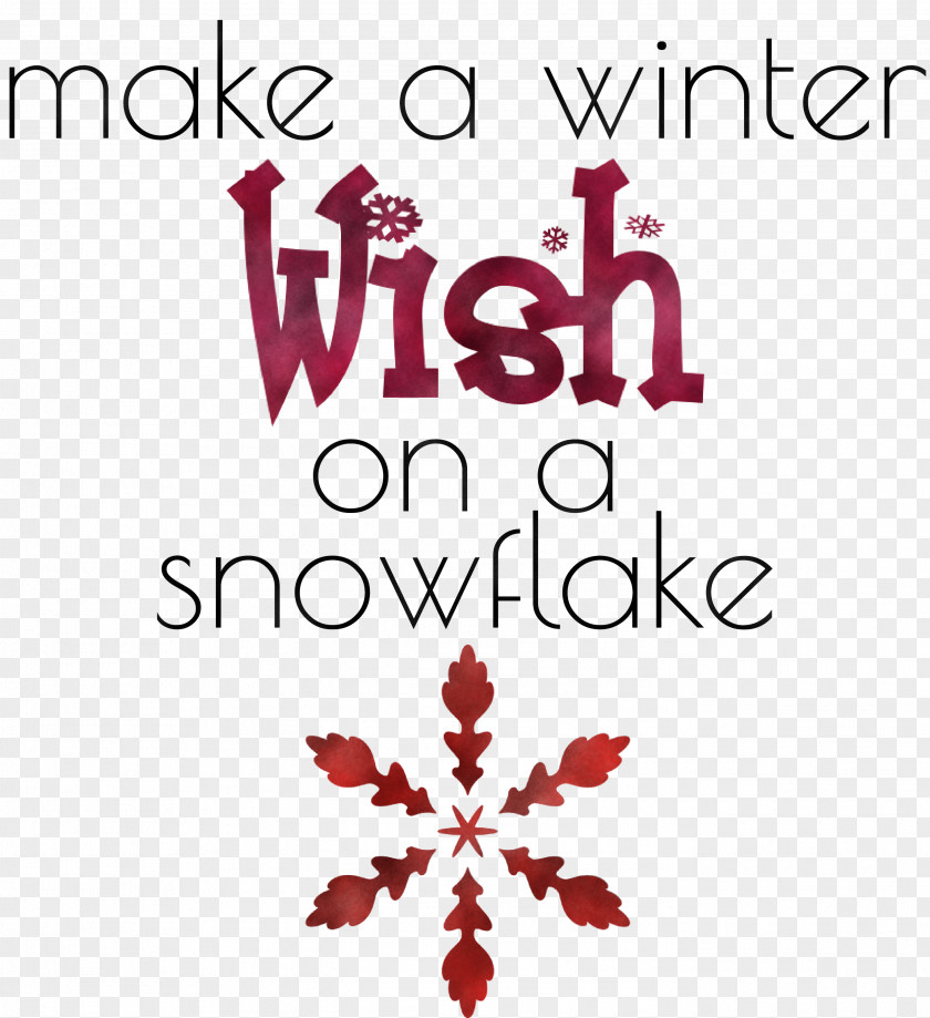 Winter Wish Snowflake PNG