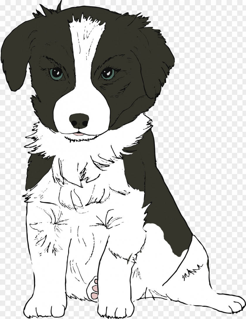Dog Sketch Breed Border Collie Puppy Companion Rough PNG