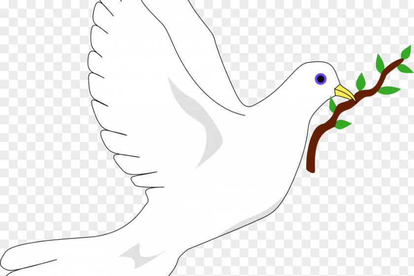 Dove No Clip Art Drawing Illustration Doves As Symbols Image PNG