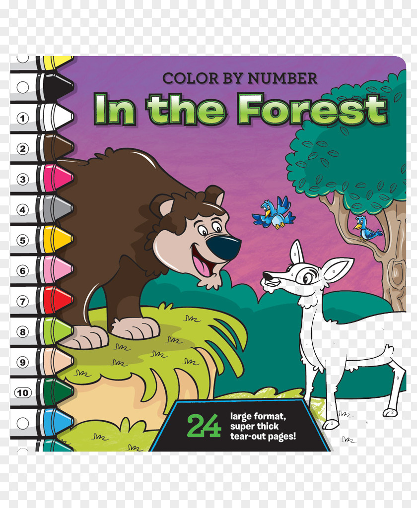 Jungle Forest Coloring Book Paint By Number Activity PNG