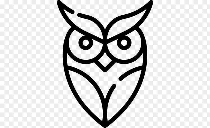 Owl Beak Bird Of Prey Vertebrate PNG