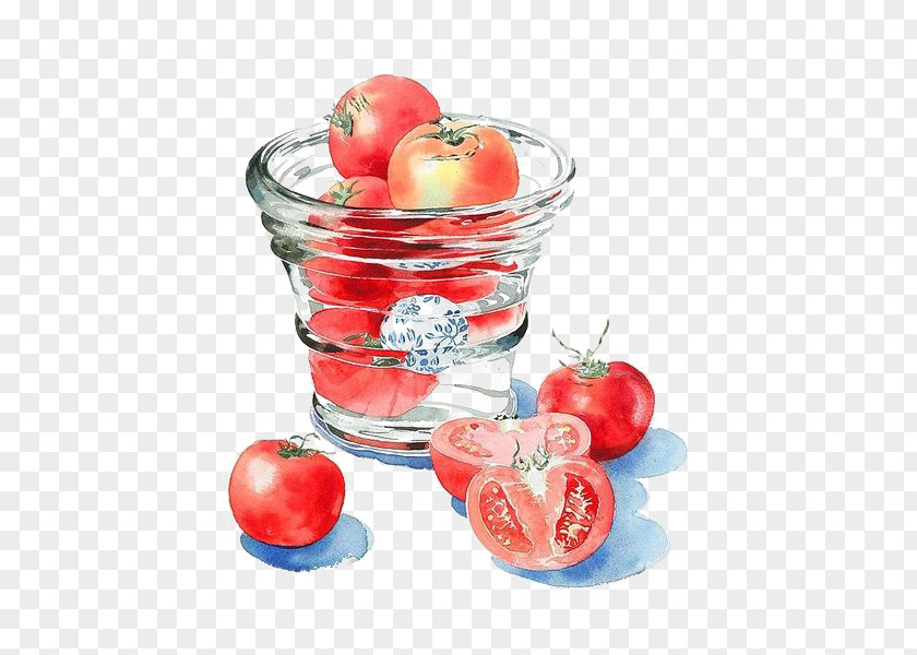 Watercolor Tomato Painting Drawing Art Illustration PNG