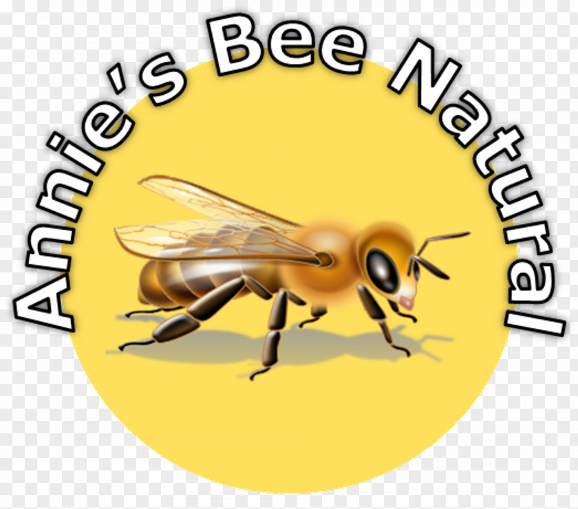 Bee Wax Honey Brighton Holistics Course Didactic Method Education PNG