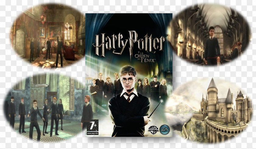 Harry Potter And The Order Of Phoenix PlayStation Portable Video Game Consoles Film PNG