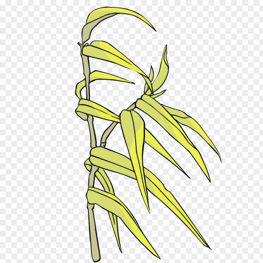 Leaf Line Art Plant Stem Grasses Tree PNG