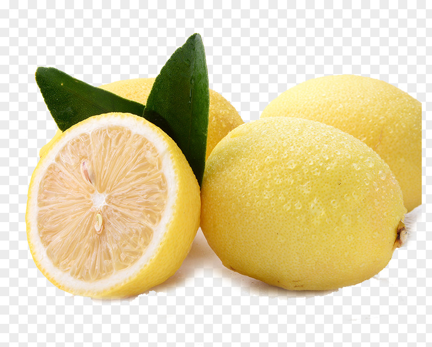 Lemon Fruit Leaves Lime Leaf PNG