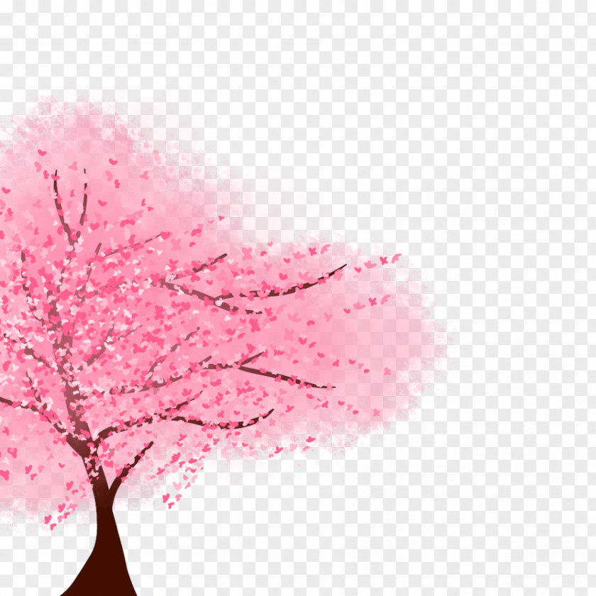 Cherry Blossom Drawing Desktop Wallpaper PNG