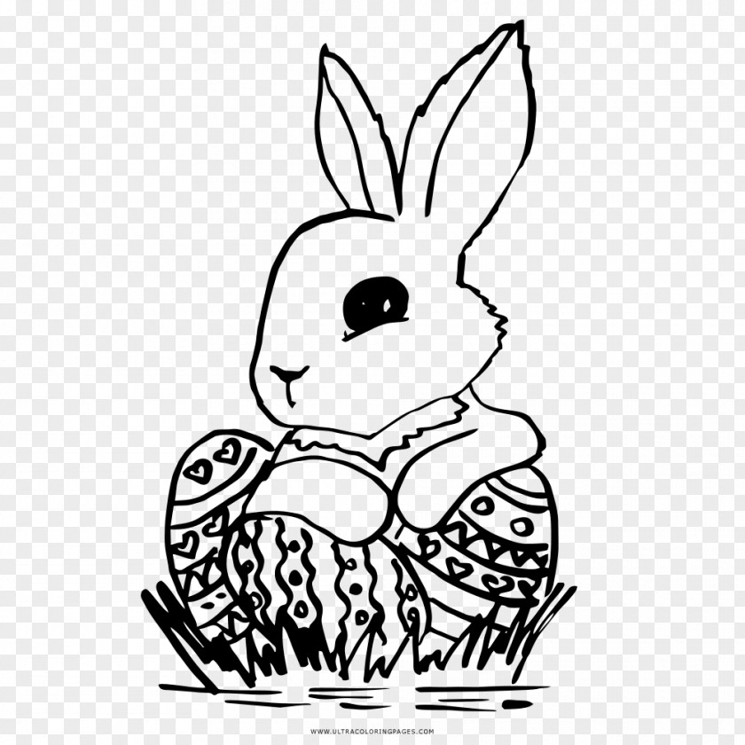 Easter Domestic Rabbit Bunny European Egg PNG